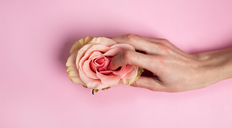 A hand gently holding a pink rose on a soft background, symbolizing intimacy and comfort associated with Mutual Climax.